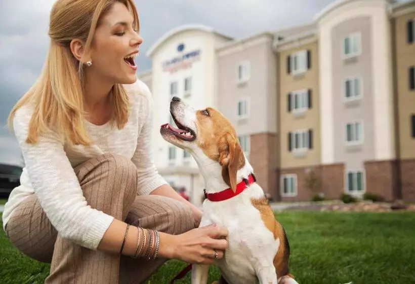ホテル Candlewood Suites   Nashville Metro Center, An Ihg