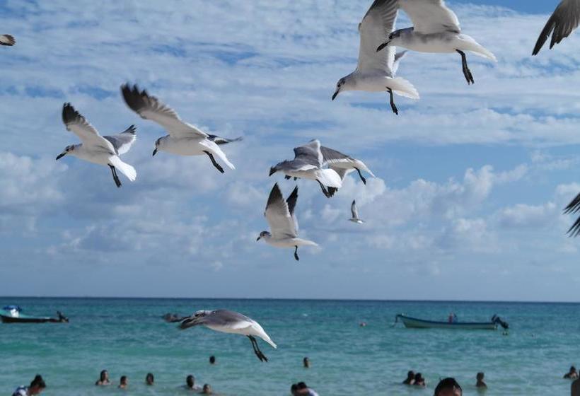 ホテル Casa Tucan