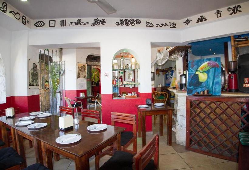 ホテル Casa Tucan