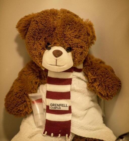 Szálloda Backpacker College At Memorial University Grenfell Campus