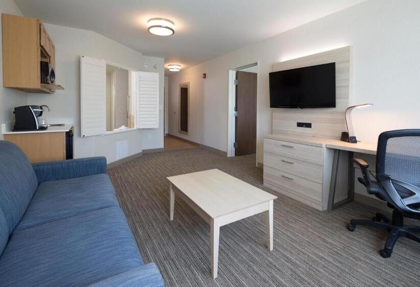 Szálloda Holiday Inn Express & Suites La Porte, An Ihg