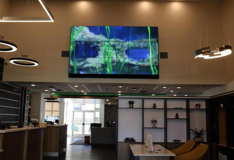 فندق Holiday Inn   Jonesboro, An Ihg