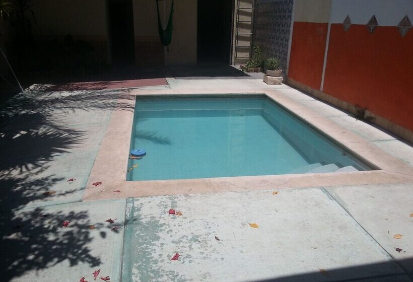 Hotel Hostal Casa Nico   Hostel