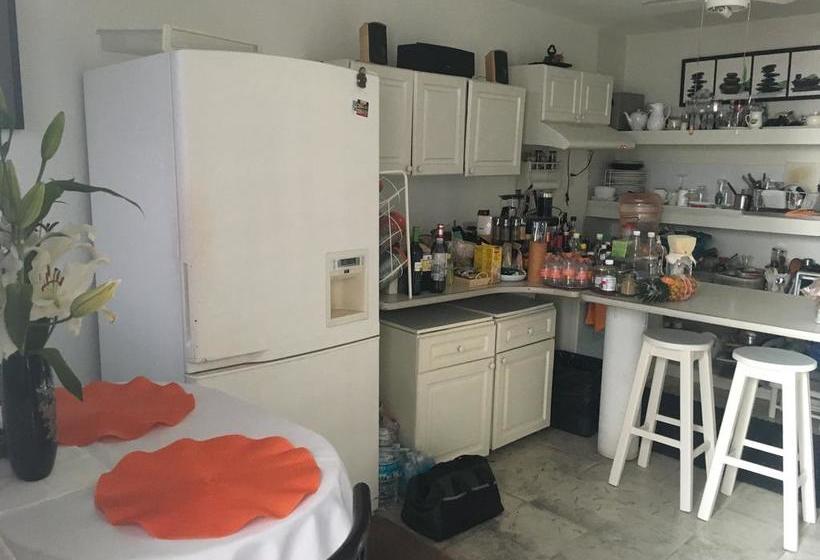 فندق Hostel Mundo Maya