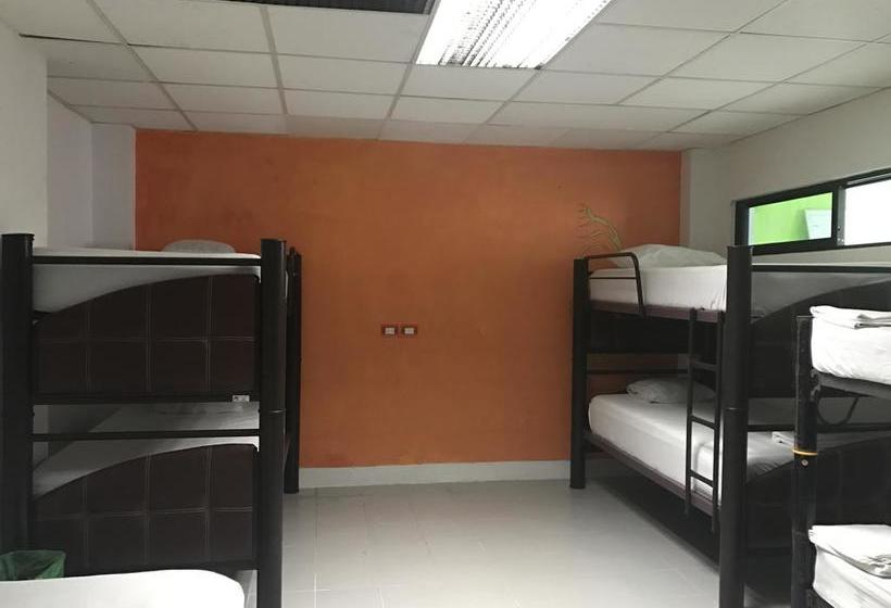 فندق Hostel Mundo Maya