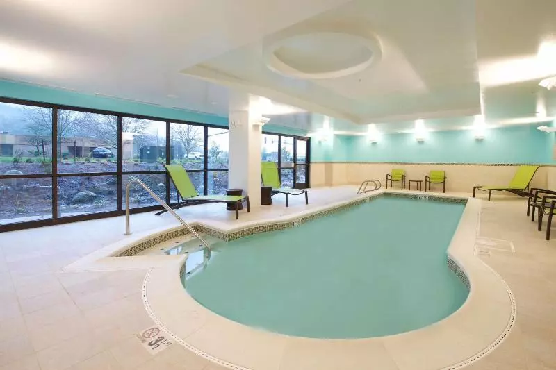 ホテル Springhill Suites By Marriott Seattle Issaquah