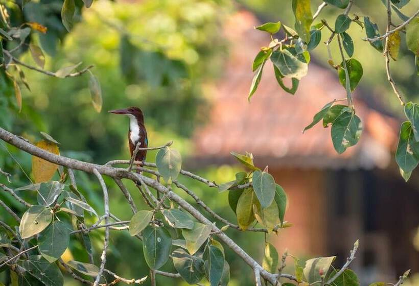 هتل Swaswara Gokarna A Cgh Earth Experience