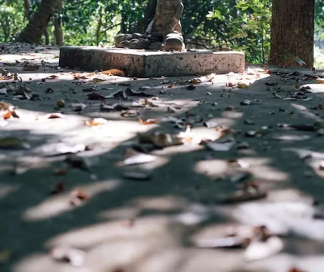 ホテル Swaswara Gokarna   A Cgh Earth Experience