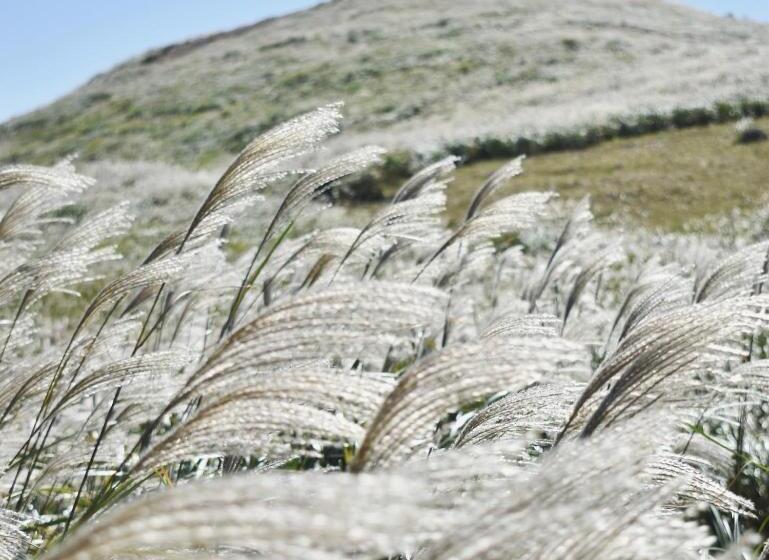 ホテル Izu Atagawa Yubana Mankai  Adult Only