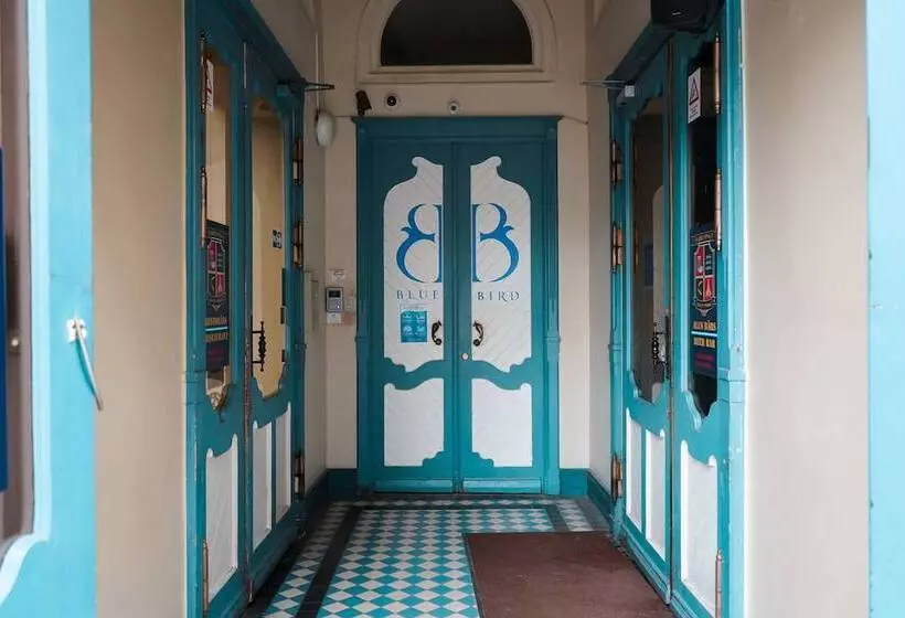 Blue Bird Hostel