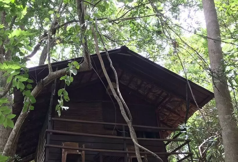 ホテル Inn On The Tree Eco Resort Sigiriya