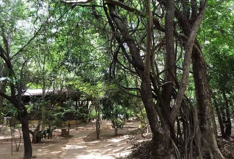 ホテル Inn On The Tree Eco Resort Sigiriya