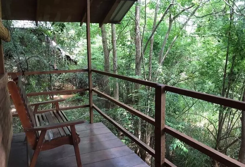 ホテル Inn On The Tree Eco Resort Sigiriya