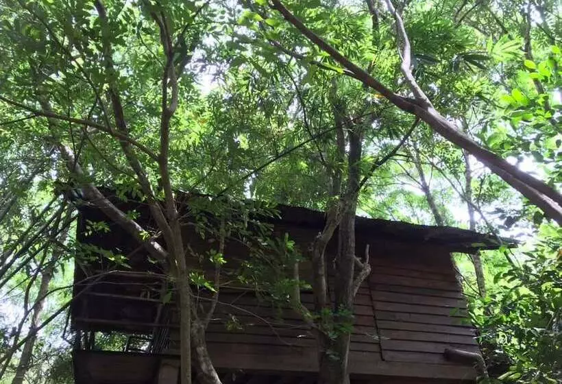 ホテル Inn On The Tree Eco Resort Sigiriya