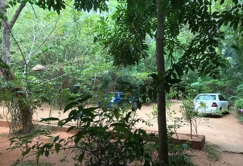 ホテル Inn On The Tree Eco Resort Sigiriya