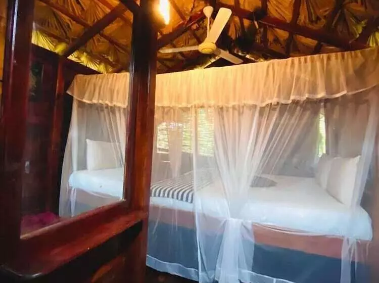 ホテル Inn On The Tree Eco Resort Sigiriya