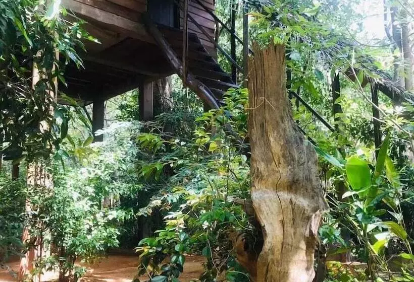 ホテル Inn On The Tree Eco Resort Sigiriya