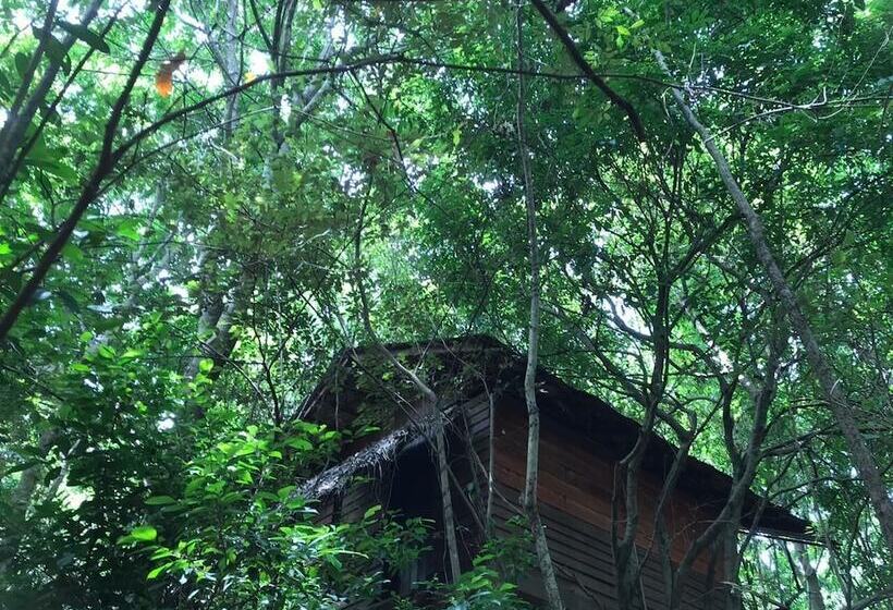 Hotel Inn On The Tree Eco Resort Sigiriya