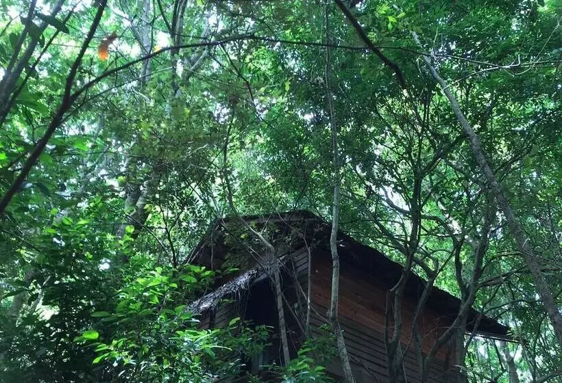 ホテル Inn On The Tree Eco Resort Sigiriya