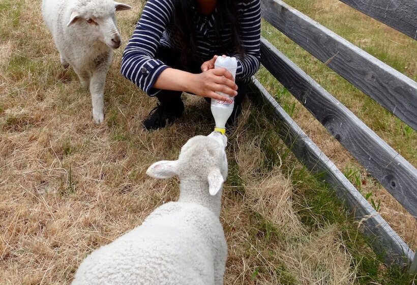 펜션 Mitchella Farm Bed & Breakfast