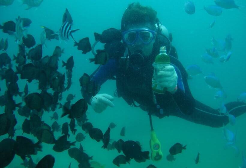 تختخواب و صبحانه 179 House