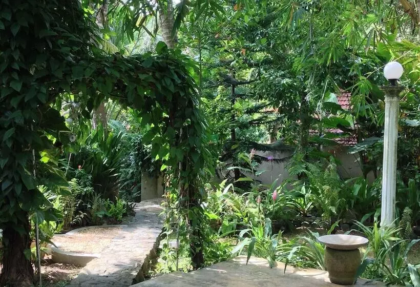 Dionis Villa