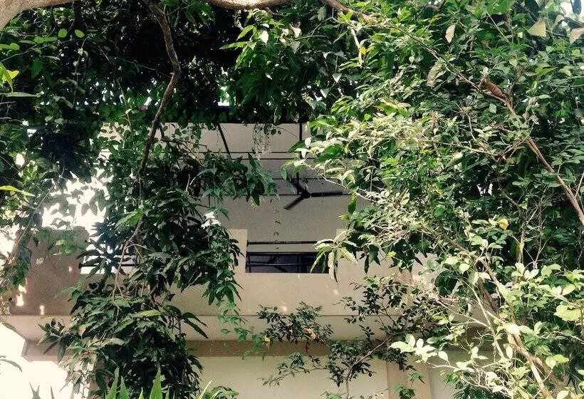 Dionis Villa