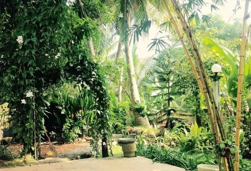 Dionis Villa