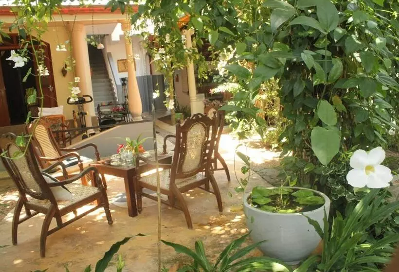 Dionis Villa