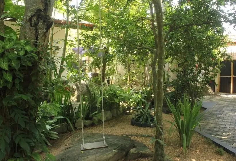 Dionis Villa