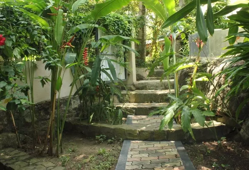 Dionis Villa
