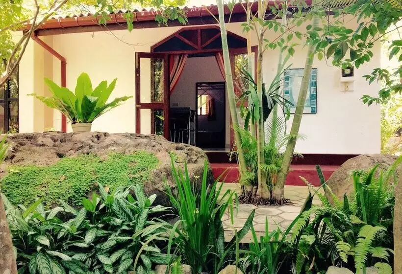 Dionis Villa