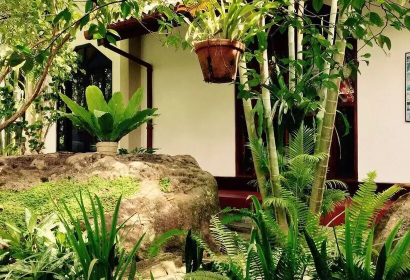 Dionis Villa