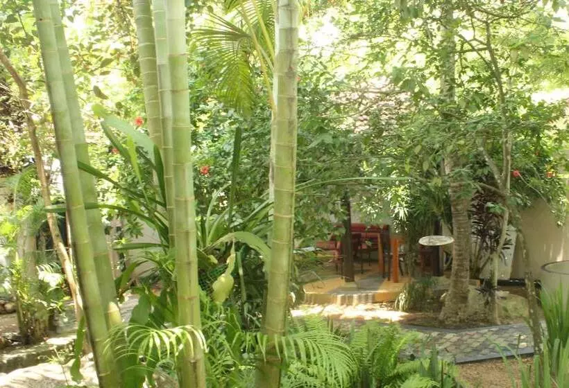 Dionis Villa
