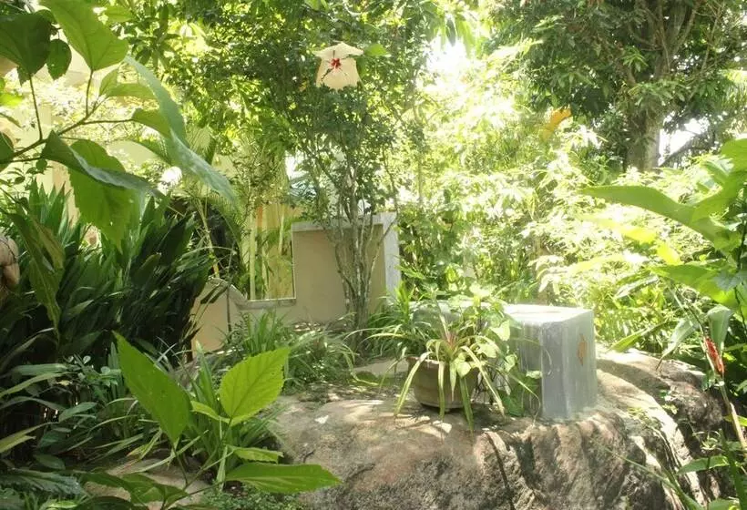Dionis Villa