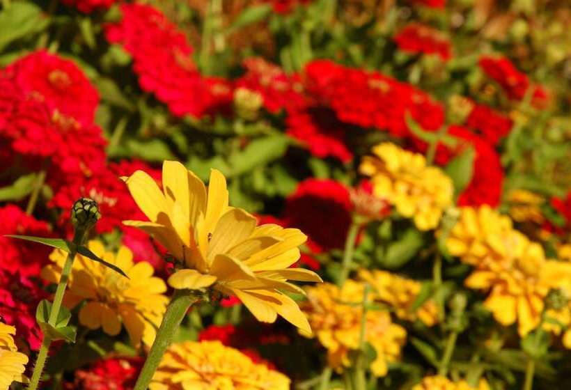 Hotel Namhae Neuhaus