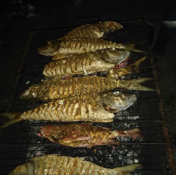 هتل White Sand Lodge