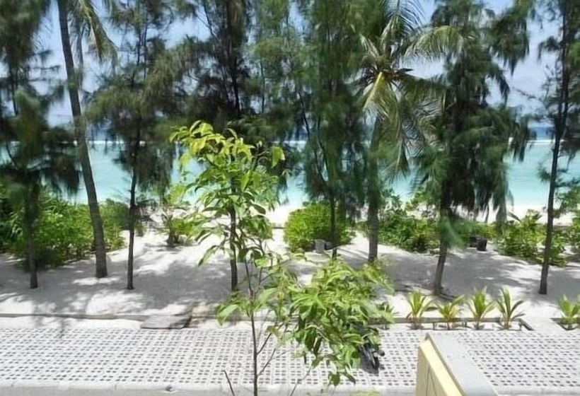 پانسیون Loona