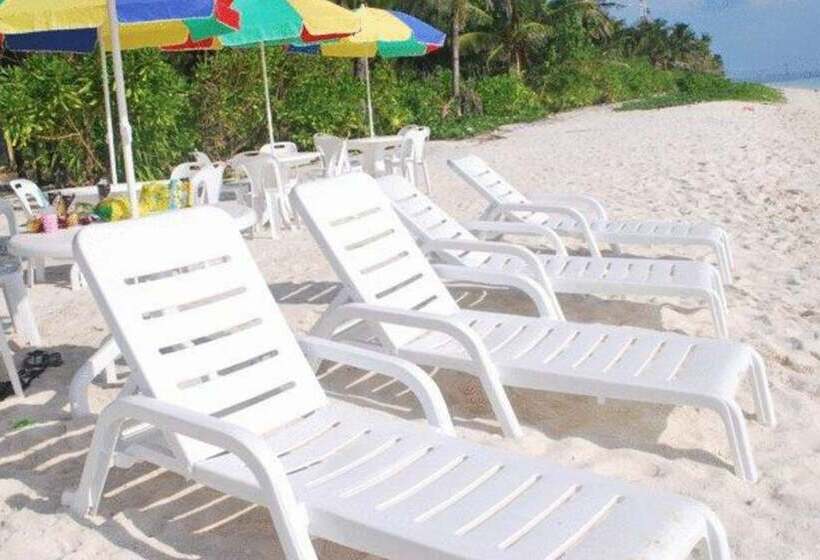 پانسیون Loona