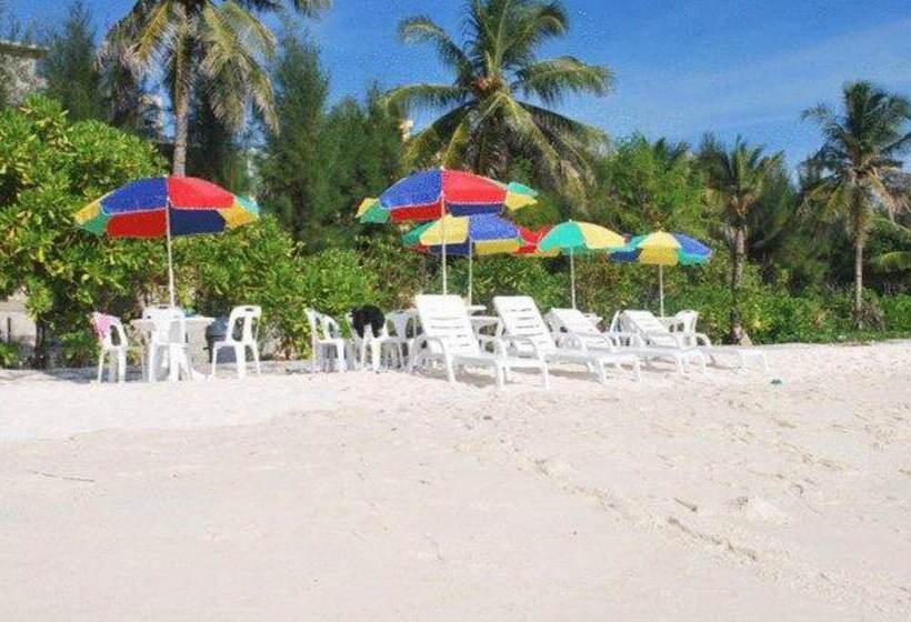 پانسیون Loona