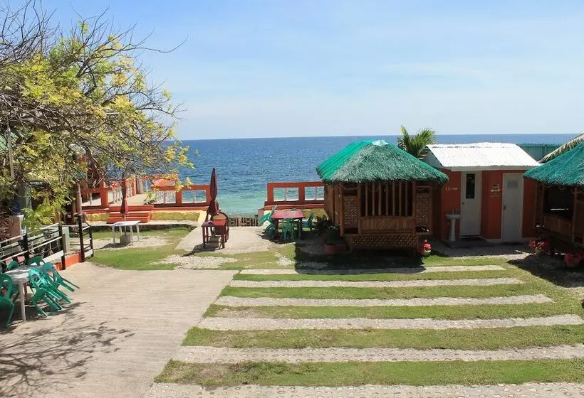 ペンション Maxvir Inn Beach Resort