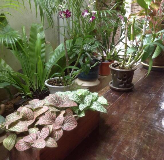 פנסיון Palm Mansion Boutique Suites