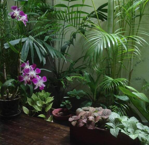 פנסיון Palm Mansion Boutique Suites