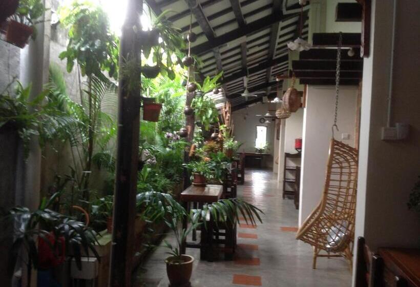 פנסיון Palm Mansion Boutique Suites