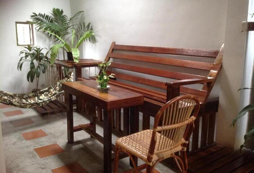 פנסיון Palm Mansion Boutique Suites