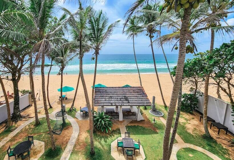 אתר נופש Suite Lanka