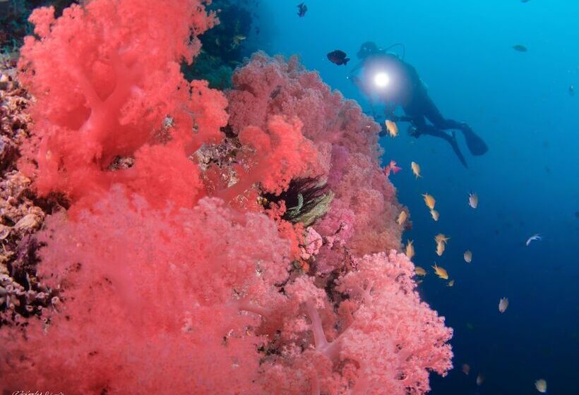 Turtle Bay Dive Resort