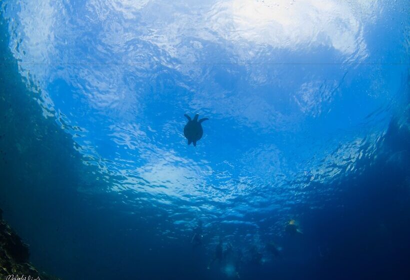 Turtle Bay Dive Resort