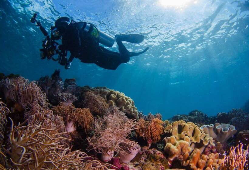 Turtle Bay Dive Resort