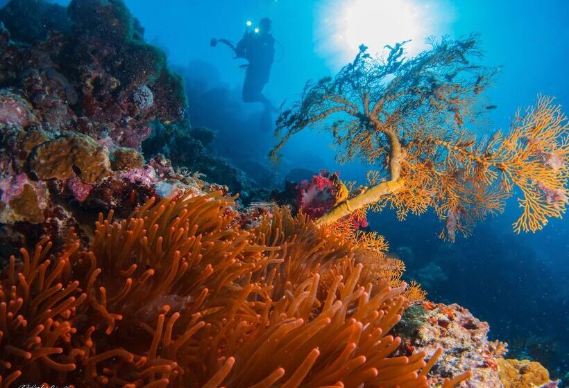 Turtle Bay Dive Resort